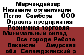 Мерчендайзер › Название организации ­ "Пегас" Самбери-3, ООО › Отрасль предприятия ­ Розничная торговля › Минимальный оклад ­ 23 500 - Все города Работа » Вакансии   . Амурская обл.,Селемджинский р-н